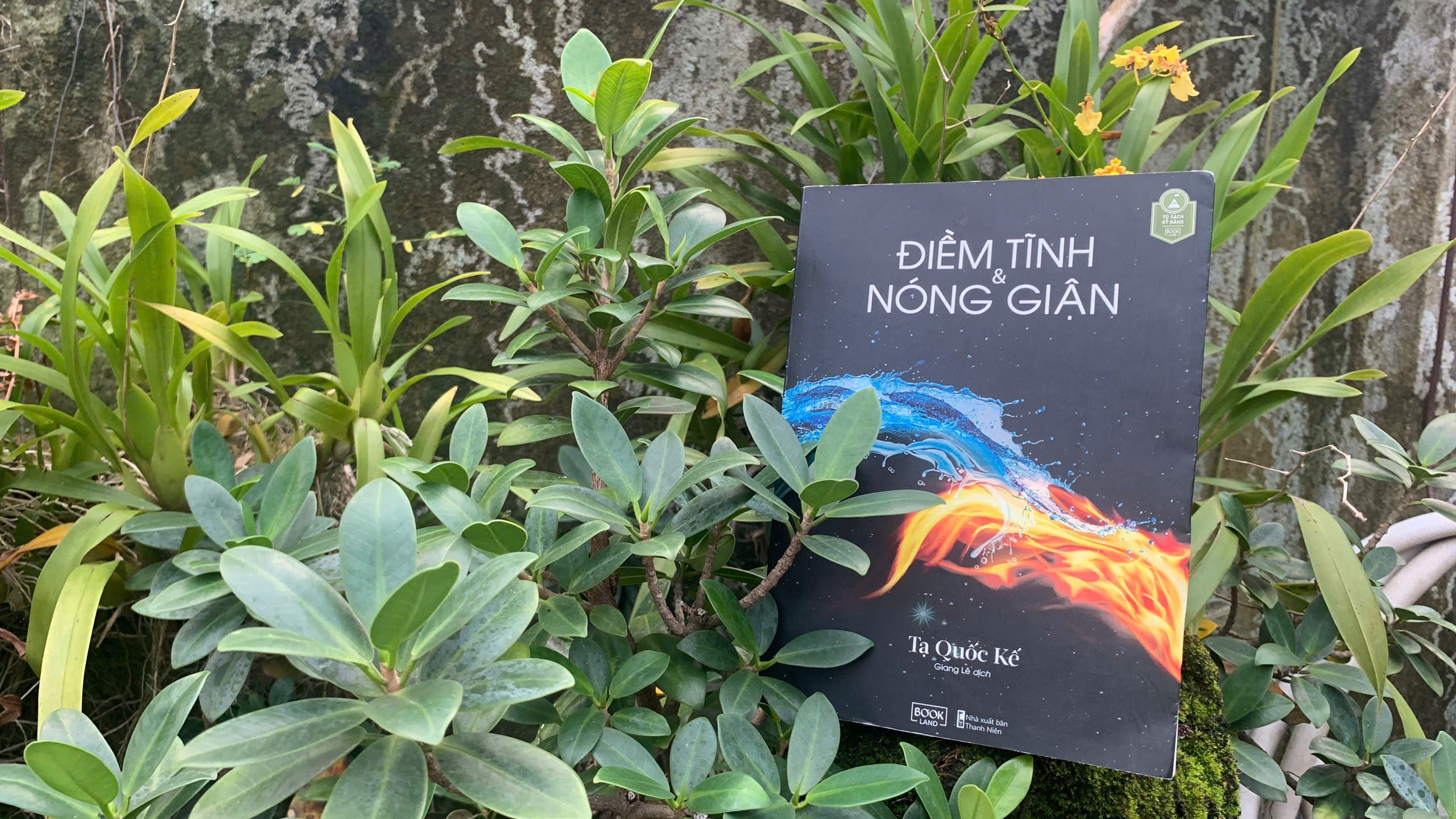 Ðiềm tĩnh  là một nội lực